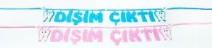 Pink My Tooth Output Dental Wheat Banner Felt ornament 
Pink My Tooth Output Dental Wheat Banner Felt ornament