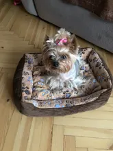 Mats Blankets House Kennels Sofa Dog-Beds Bench Dogs Small Large Pet-Products Puppy