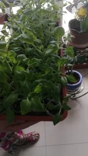 Planting-Bags Nursery-Bags Seedling-Pots Biodegradable Fabric Non-Woven Aeration Eco-Friendly