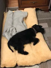 Mats Blanket Mattress Cushion Dogs-House Camas Washable Large Soft For Cats Warm Para