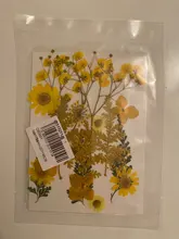 1 paquete Real secada de La Flor seca de las plantas para bricolaje molde Molde de resina rellenos de resina colgante collar joyería de uñas de arte UV Expoxy flor