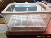 Breeder-Box Aquarium-Accessory-Supplies Isolation-Net Hanging Fish-Tank Baby