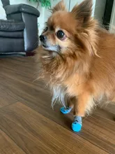 Calcetines para mascotas suaves antideslizantes con dibujos animados, calcetines para perros pequeños, transpirables, tallas S/M/L, 4 Uds.