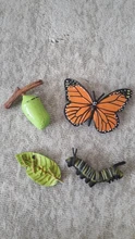 Juguetes educativos para la estimulación cognitiva para niños, modelo de animales de simulación de insectos, Mini animales de mariposa, adornos para el ciclo de crecimiento