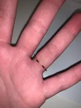 Anillos de ópalo Vintage para mujer, anillos de acero inoxidable con piedra lunar, accesorios de dos colores, joyería, regalo para mejor amiga, bisutería para mamá