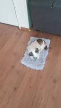 Alfombrilla de lana suave para Cama de Perro, cojín cálido para casa, cachorro, gato, manta para dormir para perros pequeños y grandes, caseta para gatos