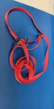 Correa de pájaro para loro, cuerda de entrenamiento antimordedura, Kits de correas para mascotas, arnés ultraligero, portátil y suave para mascotas