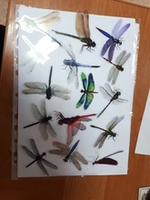 Pegatinas transparentes de PVC de simulación para álbum diario, pegatinas decorativas de animales, mariposas y pájaros, bosque creativo, 30 Uds.