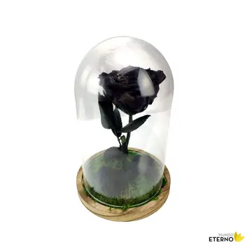 Dome Beauty and Beast Eternal Rose preserved black
Dome Beauty and Beast Eternal Rose preserved black