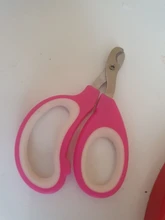 Tijeras para cortar uñas de mascotas, para perros y gatos, Tijeras para uñas del pie, recortador, herramientas de aseo, suministros para mascotas de Color aleatorio, 1 Uds.