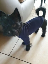 Ropa de Color puro con hebilla tipo D para Perro Bulldog francés Ropa de invierno para Perro pequeño, abrigo para Chihuahua, Pug, cachorro, Ropa con capucha para mascota