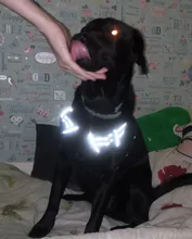 De Nylon reflectante perro arnés sin tirones ajustable mediano grande perro travieso Chaleco de seguridad Vehicular plomo caminar correr