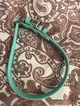 Pets-Supplies-Accessories Puppy-Collar Adjustable Small Solid-Color XS-M Comfortable