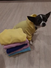 Cat Dog Hoodie Jacket Pet-Apparel Puppy-Chihuahau Pug Pure-Design New Autumn Perro Ropa