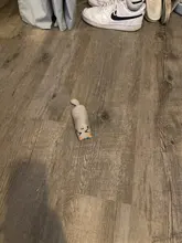 Juguete de hierba gatera con sonido de crujido para gatos, productos para mascotas, juguetes para gatos, dientes de molienda, almohada de felpa para pulgar, accesorios para mascotas