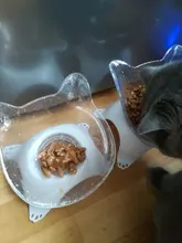 Cuencos elevados para gatos, cuencos dobles y duraderos para perros y gatos, soporte elevado, suministros de alimentación y riego para perros, suministros para mascotas