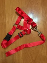 Collar de cabeza de entrenamiento para perros, arnés de nailon con cuello Halter, creativo, para todas las estaciones