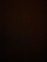 HuaTang-Collar con adorno de concha para mujer, colgante bohemio en color verde con adorno de concha de estrás, accesorios de playa a la moda, modelo 6947