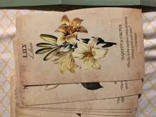 Juego de mesa de alta calidad, Nuevo Tarot de gatos blancos, oráculo, Inglés completo, fiesta familiar