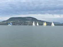 Female Thread Connector Pipe-Fitting-Adapter Coupler Tee-Type Brass Water-Fuel BSP 3-Way