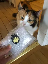 Purses Wallets Clutch Short Corgi Doge Small Cartoon Ladies Cute Portefeuille