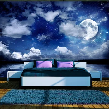 Wall mural-magic night-250x175 cm 
Wall mural-magic night-250x175 cm