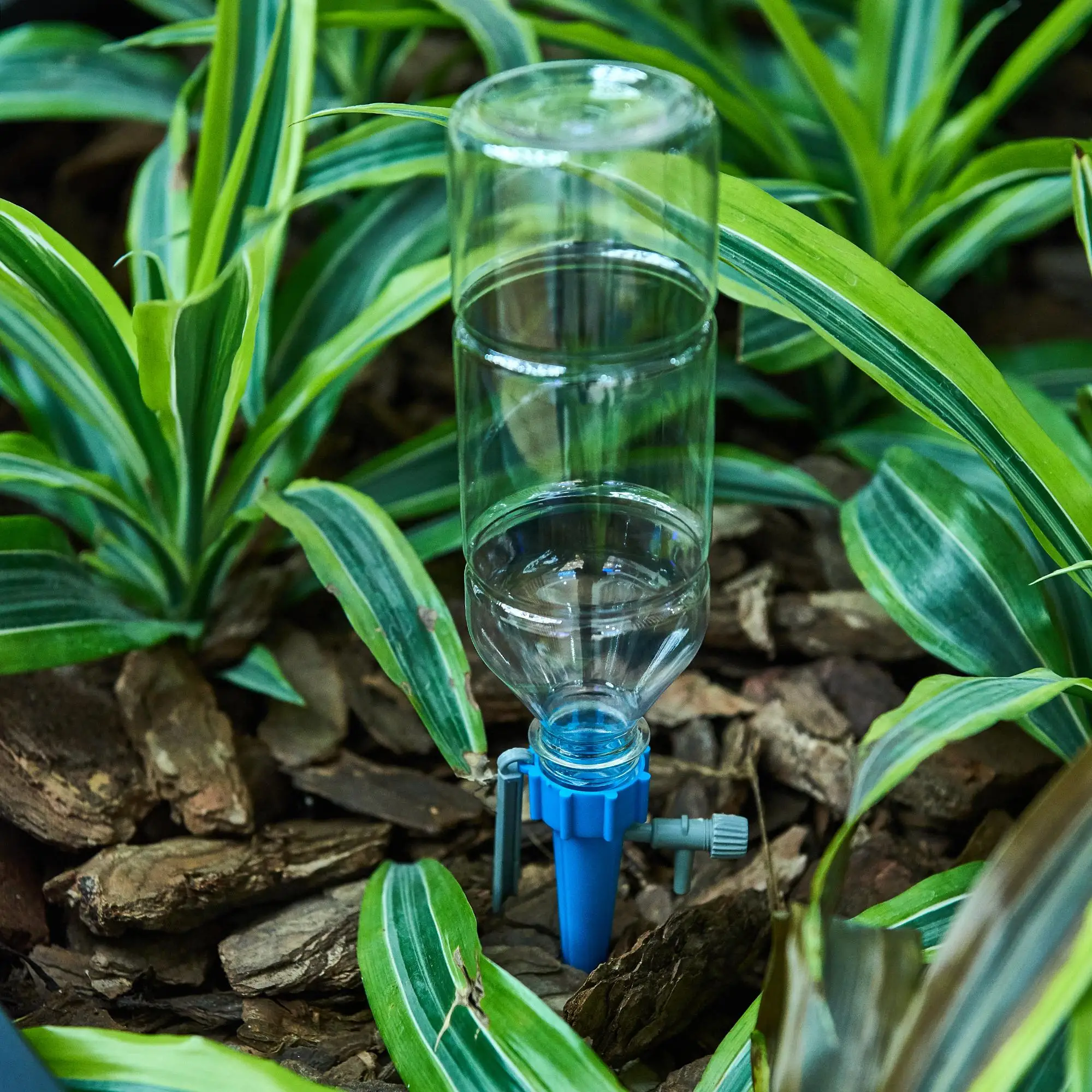 

Serinova Drip Flower Pot Watering Bracket 2 PCs Assortment-0,5 L Flowers For Easy and Practical Irrigation Cover Garden SulamaRenk mavi