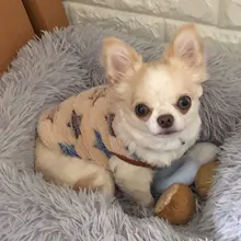Hoodie Vest Shirt Dogs-Coat Puppy Fleece Chihuahua Pet-Dog Warm Dog for Cat Clothing