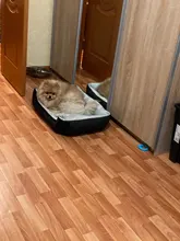 Bed Dog Blanket Dog-Beds Labrador Golden Retriever Large Cushion-Bone-Print Soft-Fleece