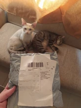 Rodillo adhesivo de doble cara reemplazable, cinta de puntos, papelería de oficina, barra dispensadora de pegamento con núcleo de recarga, Color aleatorio