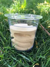 Granja de hormigas de yeso ecológico, nido cuadrado, paisajismo, hormigero, taller, caja de insectos, 7x7,5 CM, nuevo