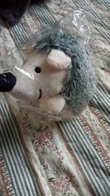 Puppy-Toy Hedgehog Dogs Smiling Plush Squeaky Design with Cute And Good-Details Fits-For