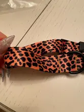 Pet-Accessories Leash-Set Color-Suit Dog-Collar Dogs Leopard Beagle Designe for Pet-Kit