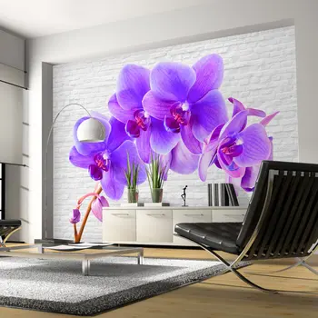 Wall mural-excitation purple-250x175 cm
Wall mural-excitation purple-250x175 cm