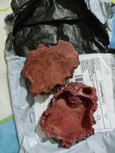 Cuenco alimentador de mascotas, cuenco de resina no tóxica, bote de agua reptil, Tortuga, escorpión, lagarto, suministros para mascotas B99