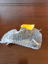 Pet-Id-Tags Collar Free-Engraved Customized Genuine-Leather Puppy-Nameplate Dog Adjustable