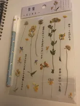 Mohamm-pegatina plana para mascotas, Serie de flores, rosa, cereza, lavanda, decoración, álbum de recortes, regalo, suministros escolares para niña, 1 hoja