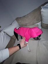 Ropa de dos patas para mascotas, abrigo cálido de lana con dibujos animados para perros y gatos, con orejas grandes, Otoño e Invierno