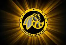 Bolsa para exteriores de nailon 600D, colgante para deportes tácticos, mochila militar Molle para Walkie Talkie y Radio