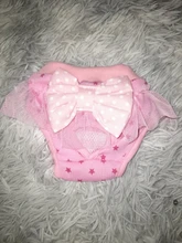 Pantalones fisiológicos sanitarios para mascotas, pañal lavable para perros, bragas, ropa interior para menstruación
