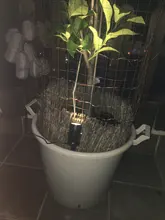 Spotlight Separately-Lamp Solar-Panel Garden-Tree Landscape Yard Warm T-SUNRISE 2 White