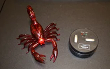 Animal de control remoto infrarrojo para niños, modelo Escorpión, juguete interactivo de alta simulación