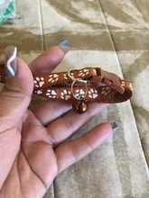 10 La banda de Color, Collar de gato y Collar de pata del gato ajustable Collar con cascabel de Mascota de dibujos animados huella Collar de gato