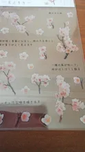 Mohamm-pegatina plana para mascotas, Serie de flores, rosa, cereza, lavanda, decoración, álbum de recortes, regalo, suministros escolares para niña, 1 hoja