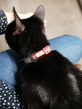 Collar de nailon personalizado con estampado de pata de gato y perro pequeño, ajustable, para cachorros y gatitos