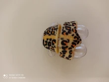 L.O.L. ¡Sorpresa! Vestidos originales de ropa para LOL 8cm, vestidos brillantes, juguetes para niños, regalo