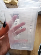 Caja de plástico para el transporte del tanque, contenedor para la alimentación del Habitat de araña insecto