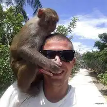 HILDA-Trípode para láser 1.2/1.5 m, de aluminio, auto nivelación, altura ajustable