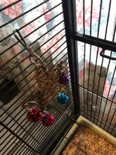 Traumdeutung-accesorios para aves, juguetes para loros, cacatúa, decoración para jaula de periquitos, jouet perruche