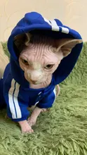 Suéter con capucha Para gato, Ropa cálida Para mascotas, Para gatos, Sphinx, satten, Ropa Para gatos, Kedi, Giyim, productos Para mascotas